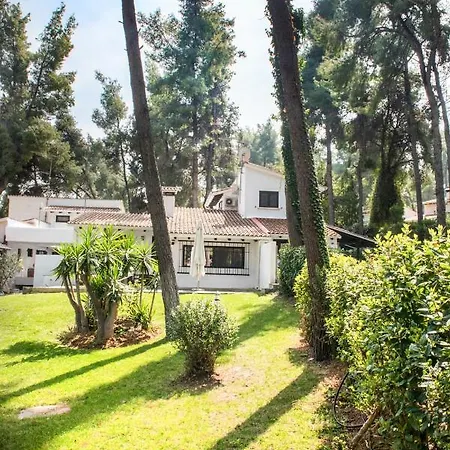 Вилла Evergreen In Sani Woodland Estate *